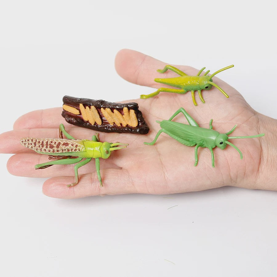 Realistische Insecten Model Figuren: Bidsprinkhaan, Bladwesp & Meer - Educatief Speelgoed & Decoratie