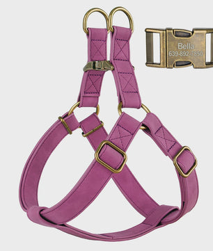 Luxe PU Leder Hondentuig met Leash en Gepersonaliseerde ID Gesp - Duurzaam voor Kleine & Middelgrote Honden