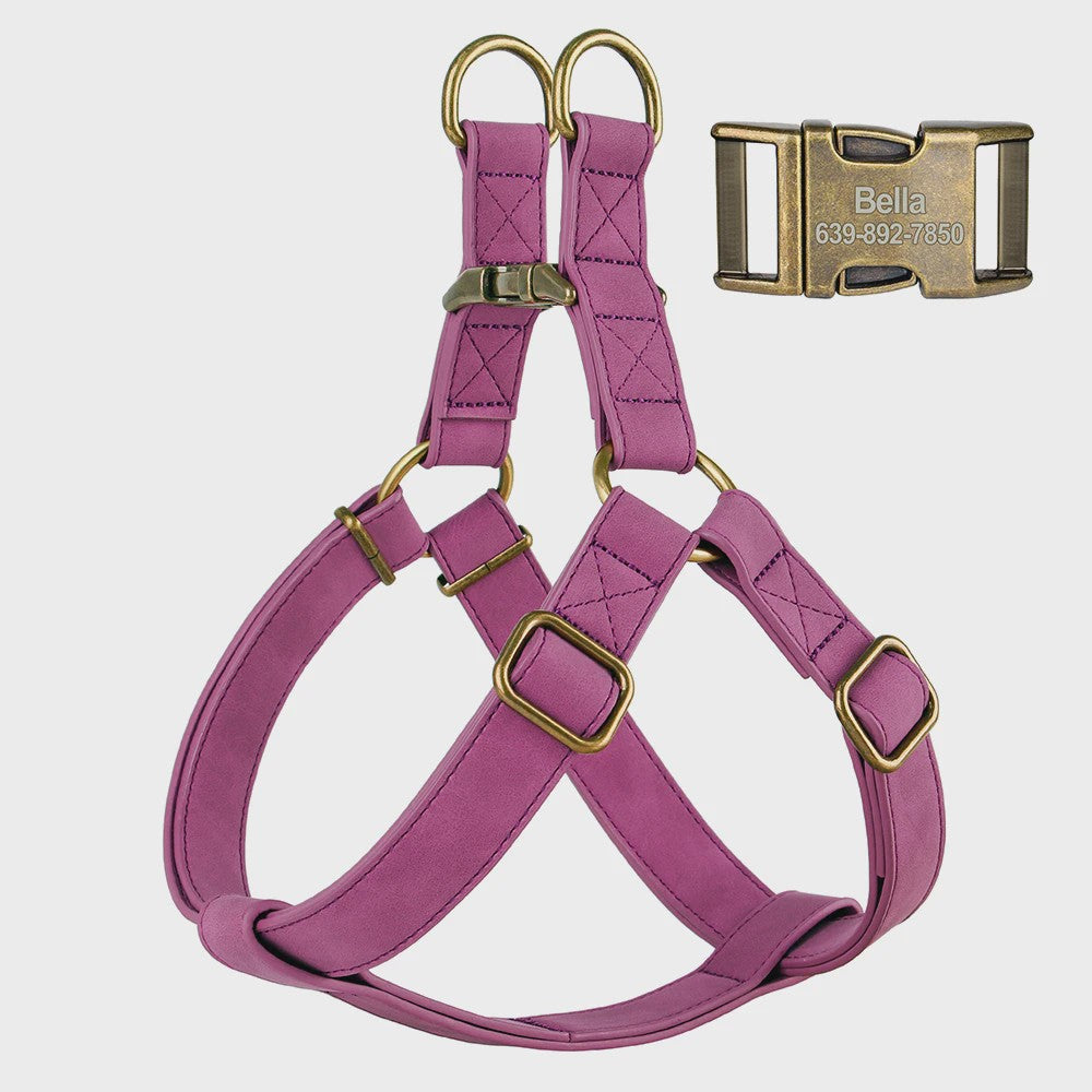 Luxe PU Leder Hondentuig met Leash en Gepersonaliseerde ID Gesp - Duurzaam voor Kleine & Middelgrote Honden