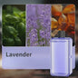 Automatische Auto Luchtverfrisser & Aromatherapie Diffuser met Display - Jasmijn Geur