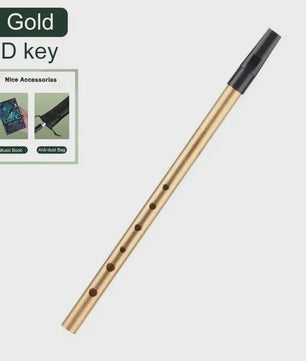 Authentieke Ierse Whistle Fluit - C/D Toets - 6 Gaten - Traditioneel Muziekinstrument