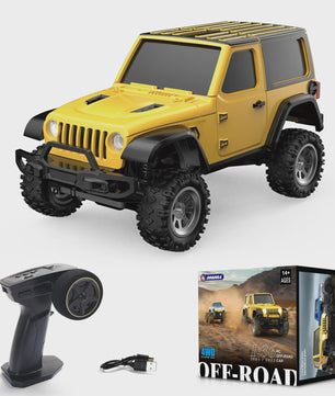 1:36 RC Crawler Off-Road Auto 4WD Elektrisch Afstandsbediening Voertuig met LED Verlichting - RTR