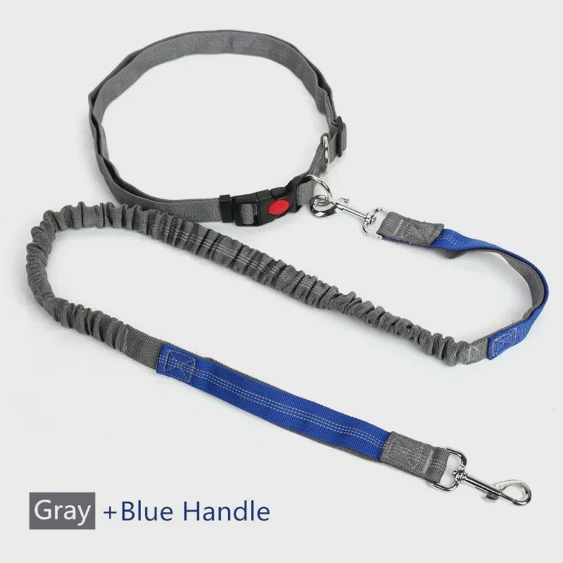Handsfree Hondenriem met Verstelbare Tailleband - Ideaal voor Hardlopen, Joggen & Fietsen met Grote Honden