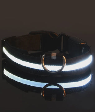 LED Hondenhalsband - Oplaadbaar en Verstelbaar voor Maximale Zichtbaarheid in het Donker