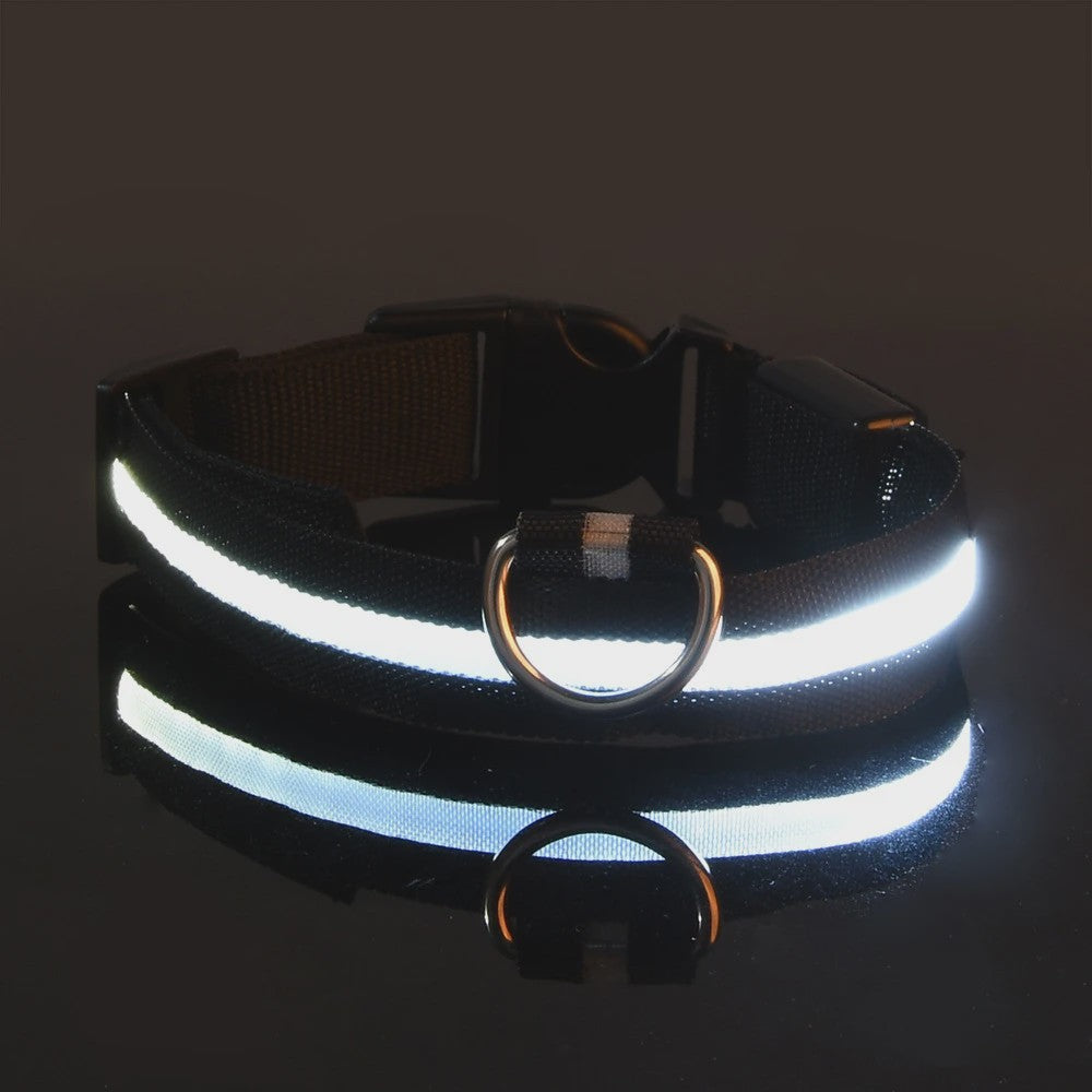 LED Hondenhalsband - Oplaadbaar en Verstelbaar voor Maximale Zichtbaarheid in het Donker