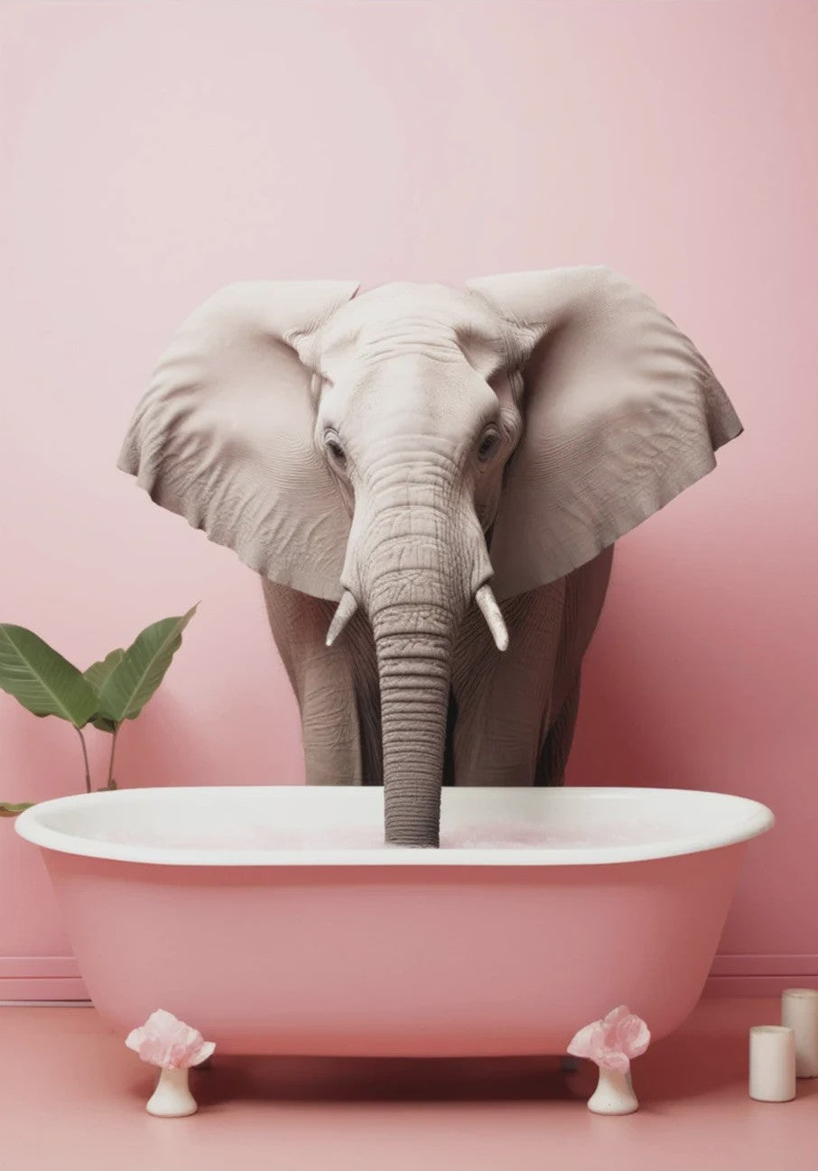 Grappige Dieren Poster Set - Kangoeroe, Nijlpaard, Olifant in Bad - Canvas Muurdecoratie