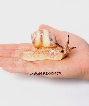 Realistische Insecten & Slakken Modellen - Educatief Speelgoed, Verzamelen & Decoratie