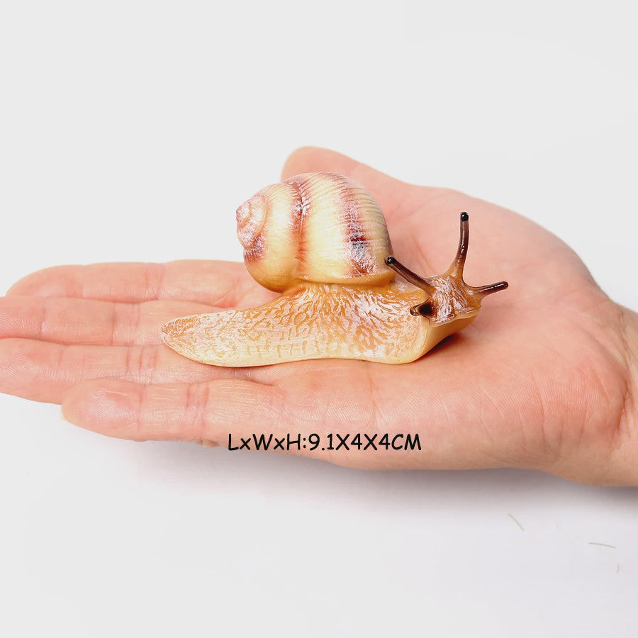 Realistische Insecten & Slakken Modellen - Educatief Speelgoed, Verzamelen & Decoratie