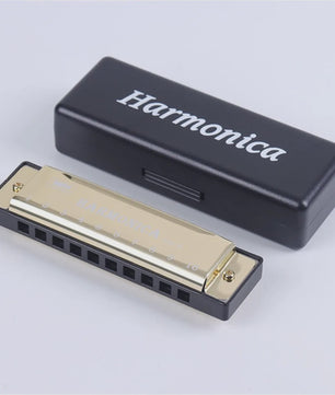 Diatonische C-Harmonica 10 Gaten - Ideaal voor Beginners, Studenten & Kinderen - Inclusief Beschermhoes