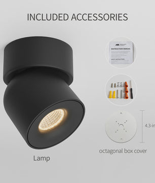 Aisilan LED Plafondspot Draaibaar & Kantelbaar - Oppervlakte Montage - 220V/110V