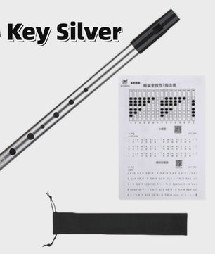 Miwayer Ierse Tin Whistle - 6 Gaten Fluit in C/D Toets - Folk Muziekinstrument voor Beginners