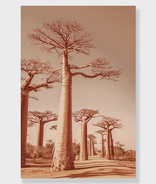 Canvas Poster Set: Leeuw, Giraffe, Olifant, Ballonvaart & Natuurlandschap