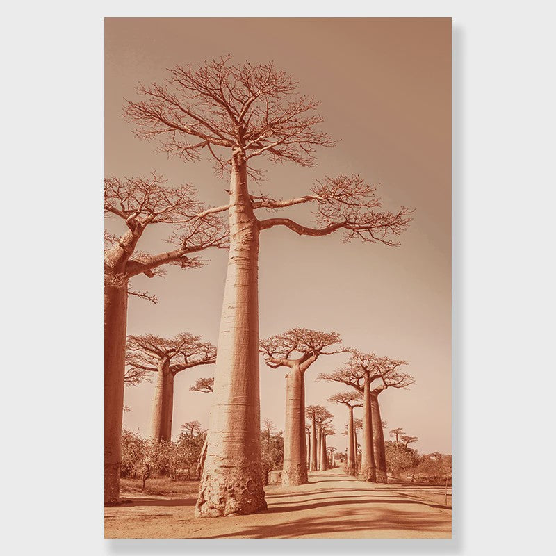 Canvas Poster Set: Leeuw, Giraffe, Olifant, Ballonvaart & Natuurlandschap
