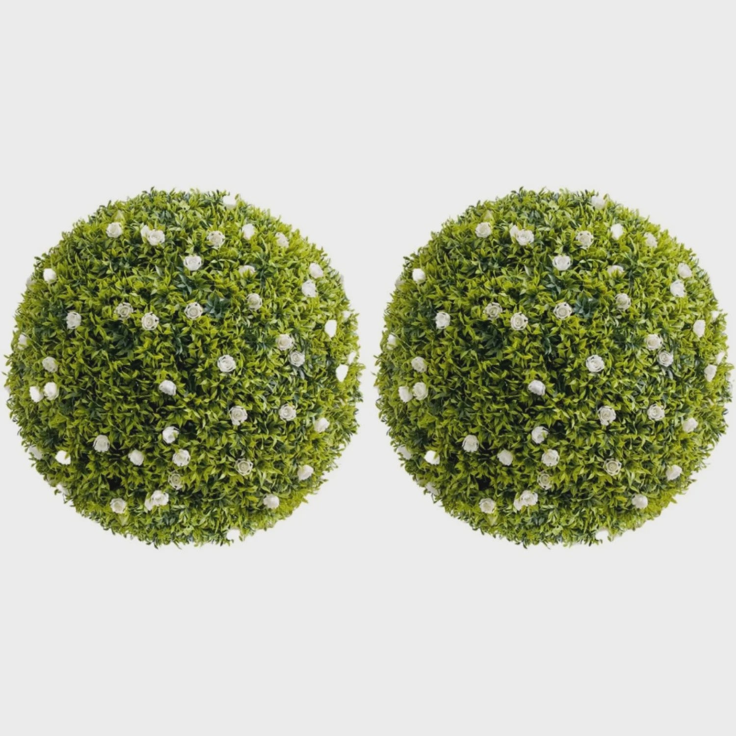 Kunst Buxusbollen met 11 Witte Bloesems - Decoratieve Tuin- en Huisdecoratie
