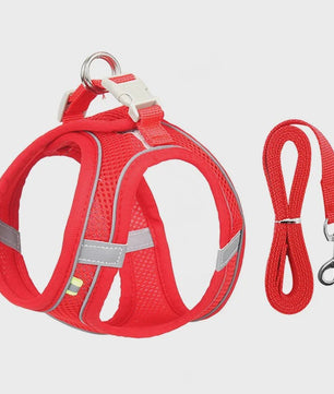 Verstelbaar Puppy en Kat Tuigje met Riem - Ideaal voor Kleine Honden zoals Chihuahua & Franse Bulldog