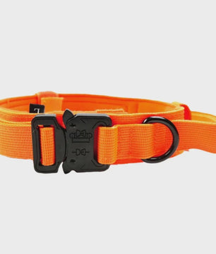 Sterke Tactische Hondenhalsband met Metalen Gesp - Nylon, Verstelbaar voor Training & Dagelijks Gebruik