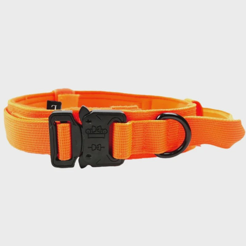 Sterke Tactische Hondenhalsband met Metalen Gesp - Nylon, Verstelbaar voor Training & Dagelijks Gebruik