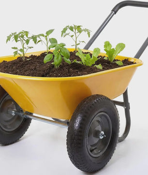 Stevige 2-wiel kruiwagen voor tuin en buiten – 120 kg capaciteit, ijzeren bak & kunststof