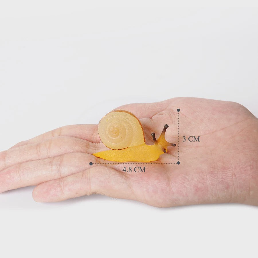 Realistische Insecten & Slakken Modellen - Educatief Speelgoed, Verzamelen & Decoratie