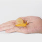 Realistische Insecten & Slakken Modellen - Educatief Speelgoed, Verzamelen & Decoratie
