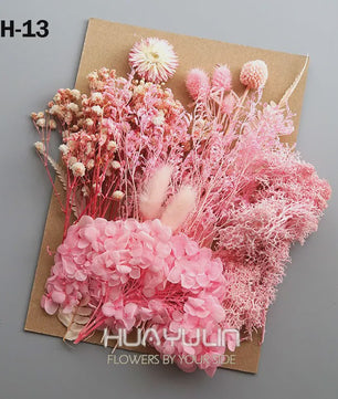 Set Gedroogde Bloemen & Hydrangea voor Ambacht & Decoratie