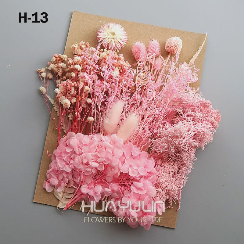 Set Gedroogde Bloemen & Hydrangea voor Ambacht & Decoratie