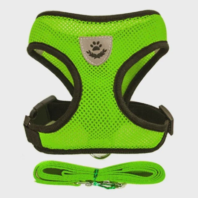 Verstelbaar Katten Tuigje met Lijn - Ademend Mesh Vest voor Kleine Honden & Katten
