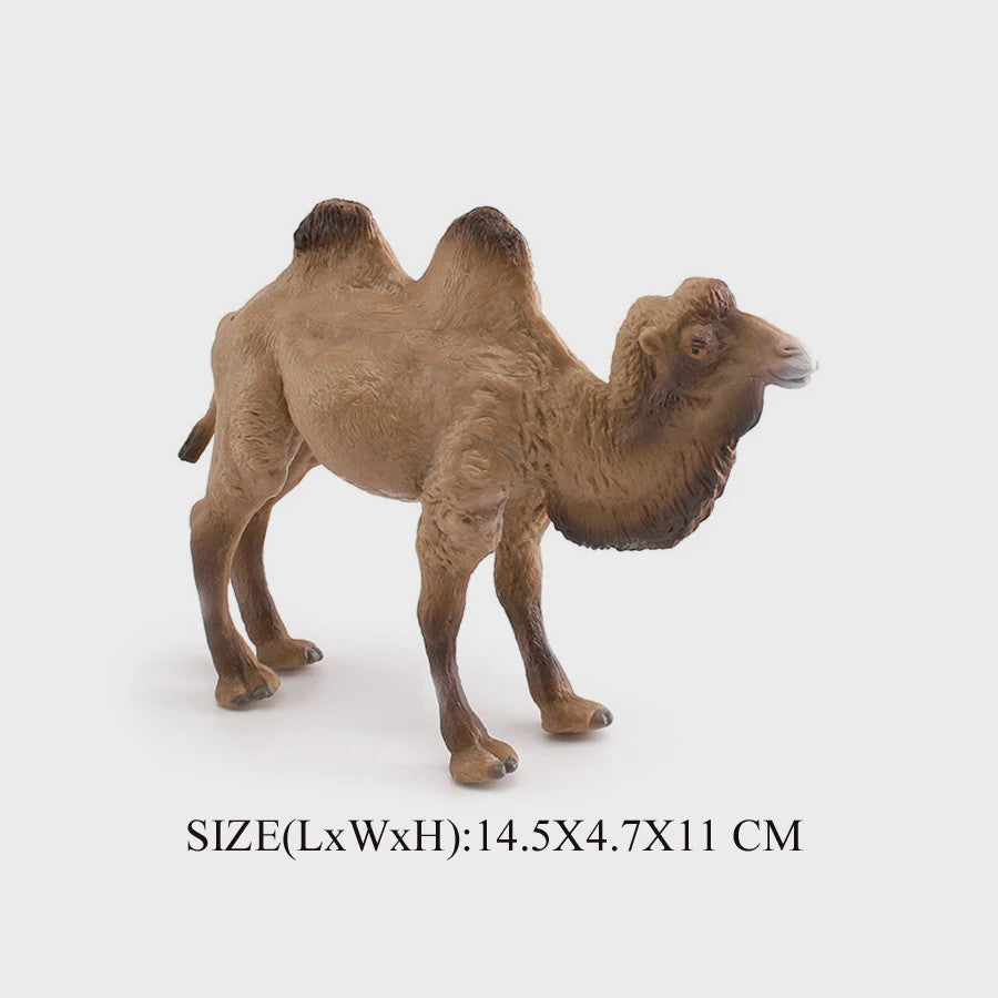 Realistische Alpaca & Kameel Figuren Set - Handgeschilderd, Educatief Speelgoed