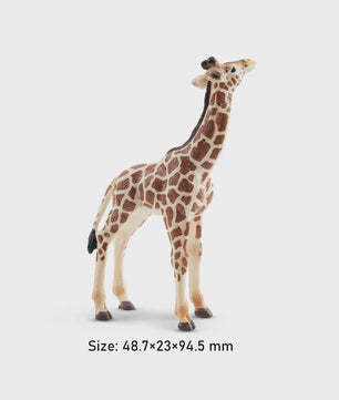 Toymany Camel Kalf Miniatuur Dier Model - Realistische Speelgoedfiguur voor Kinderen & Taartdecoratie