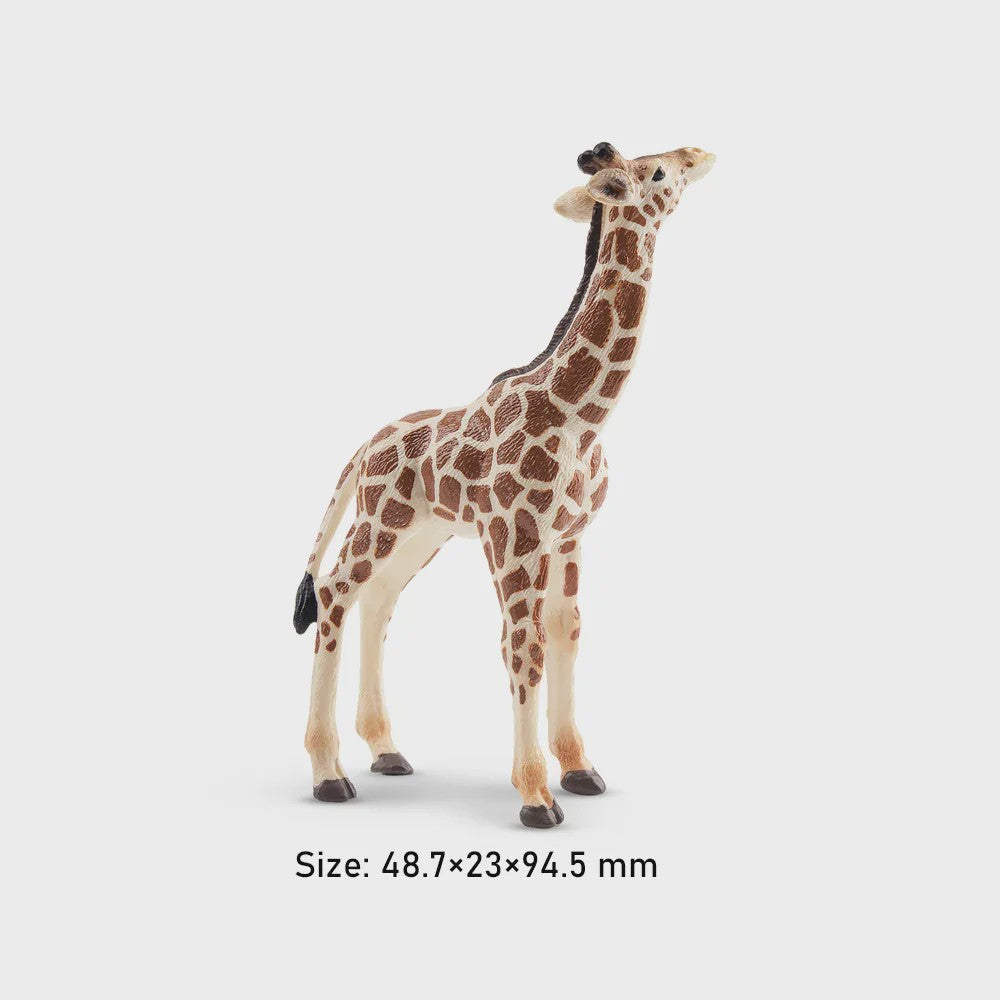 Toymany Camel Kalf Miniatuur Dier Model - Realistische Speelgoedfiguur voor Kinderen & Taartdecoratie