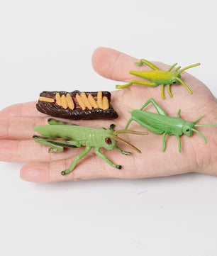 Realistische Insecten Model Figuren: Bidsprinkhaan, Bladwesp & Meer - Educatief Speelgoed & Decoratie