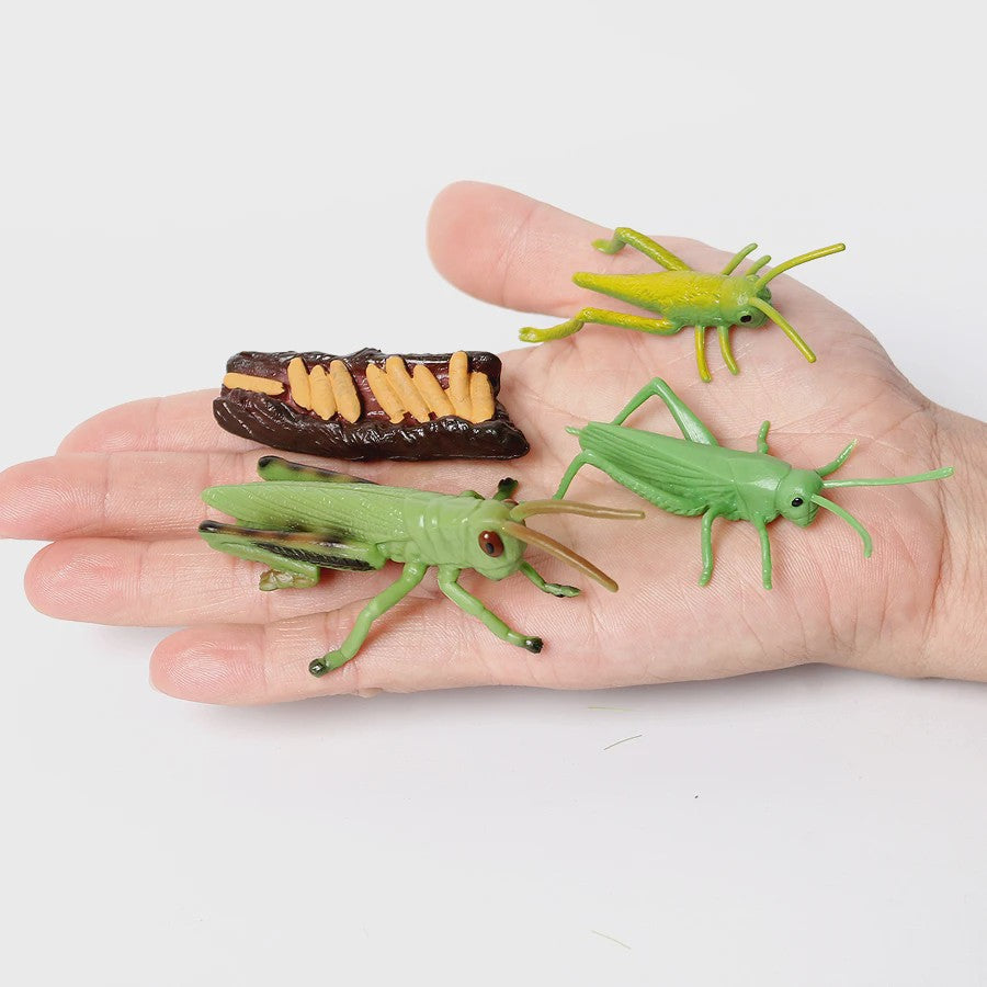 Realistische Insecten Model Figuren: Bidsprinkhaan, Bladwesp & Meer - Educatief Speelgoed & Decoratie