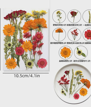 Set Gedroogde Bloemen & Bladeren (16-19 Stuks) - Natuurlijk & Realistisch