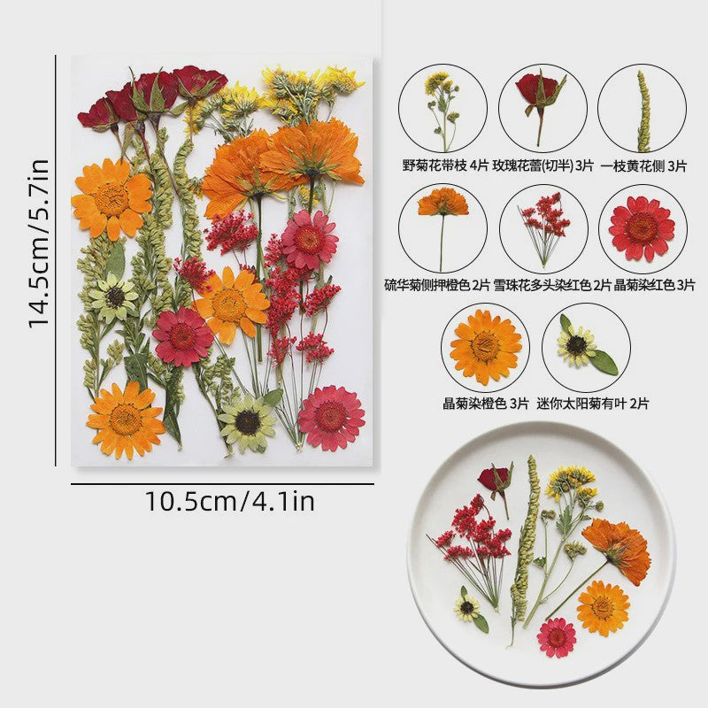 Set Gedroogde Bloemen & Bladeren (16-19 Stuks) - Natuurlijk & Realistisch