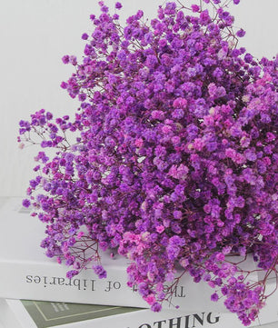 60g Gedroogde Baby's Breath Bloemboeket - Natuurlijke Gypsophila Decoratie