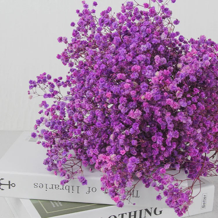 60g Gedroogde Baby's Breath Bloemboeket - Natuurlijke Gypsophila Decoratie