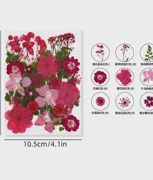 30 Stuks Gedroogde Persbloemen - Natuurlijke Bloemen & Bladeren voor Resin Art, Knutselen en Decoratie