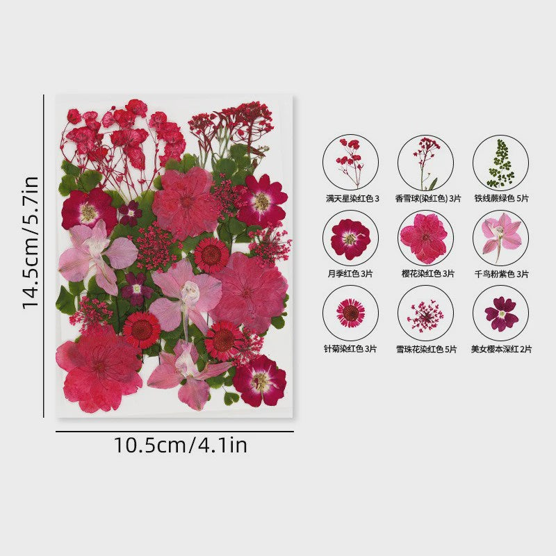 30 Stuks Gedroogde Persbloemen - Natuurlijke Bloemen & Bladeren voor Resin Art, Knutselen en Decoratie