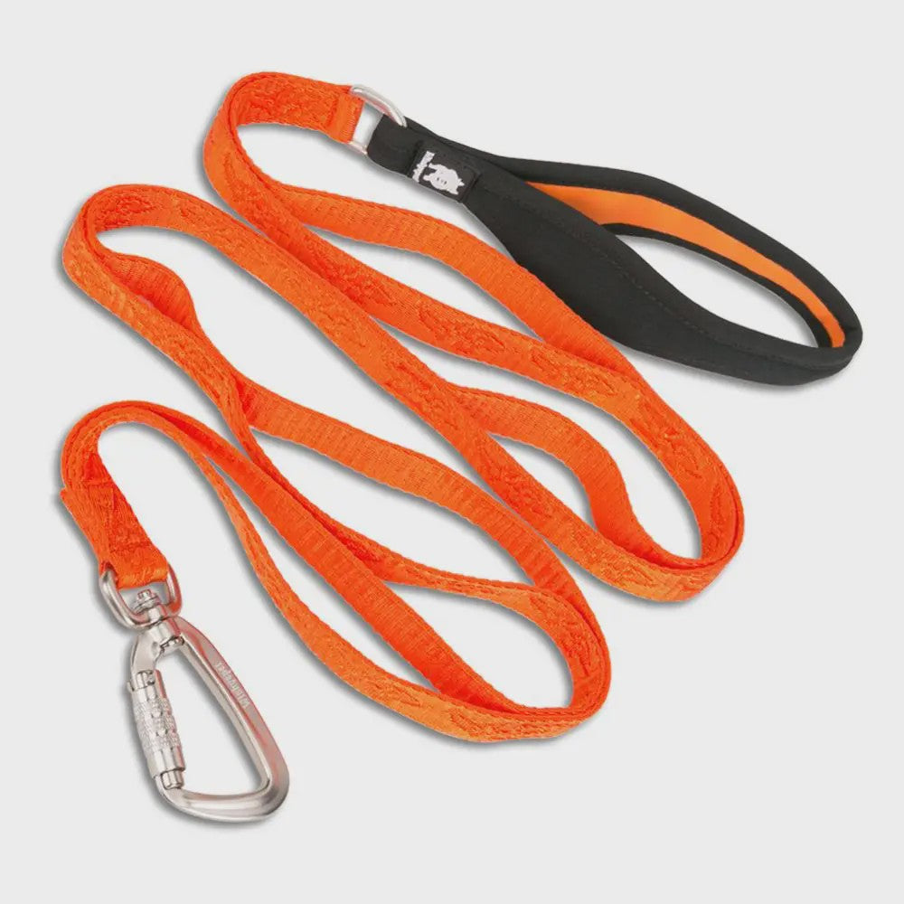 TRUELOVE Hondenlijn Nylon met Karabijnhaak - Sterk, Comfortabel & Veilig voor Reizen