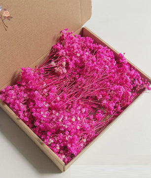 Gedroogde Mini Gipsenkruid Bloemen (100 stuks) - DIY Decoratie & Cadeau