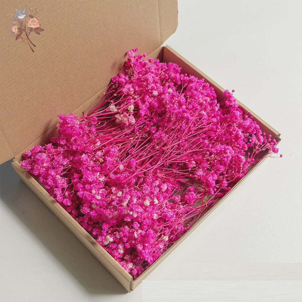 Gedroogde Mini Gipsenkruid Bloemen (100 stuks) - DIY Decoratie & Cadeau