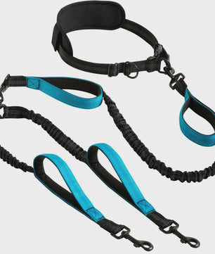 Verstelbare Dubbele Hondenriem met Schokdemper voor Handsfree Lopen en Trainen