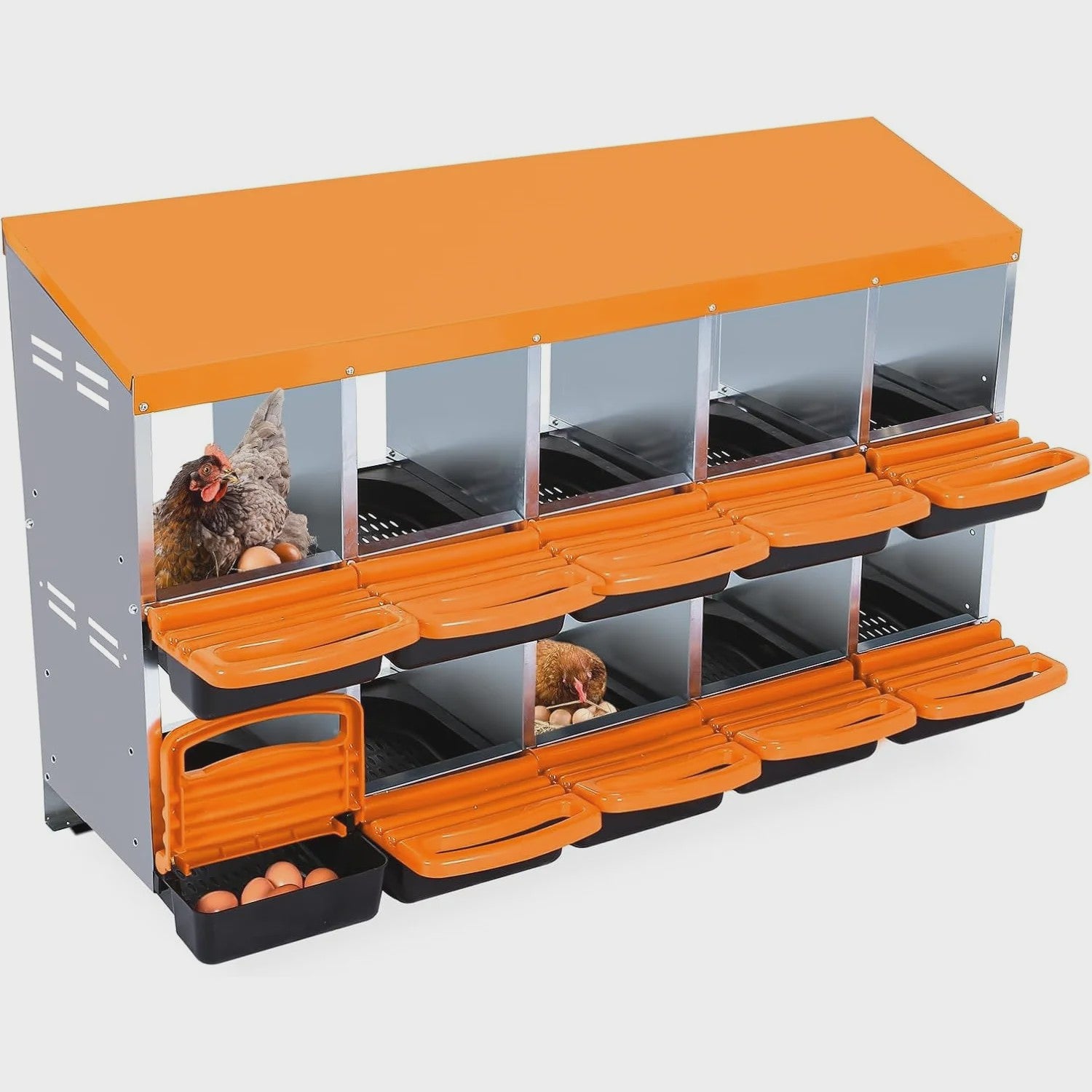 Stabiele Metalen Kippen Nestkast met Stand - 12 Vakken - Automatische Ei-verzameling