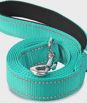 Veilige Hondentuig & Lijn Set met Nachtreflectie - Padded Handvat