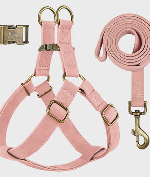 Luxe PU Leder Hondentuig met Leash en Gepersonaliseerde ID Gesp - Duurzaam voor Kleine & Middelgrote Honden