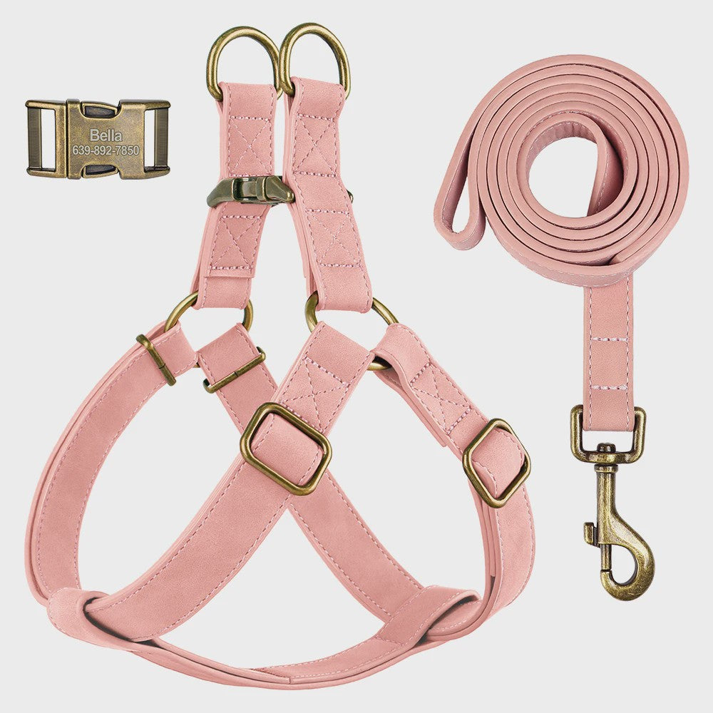 Luxe PU Leder Hondentuig met Leash en Gepersonaliseerde ID Gesp - Duurzaam voor Kleine & Middelgrote Honden