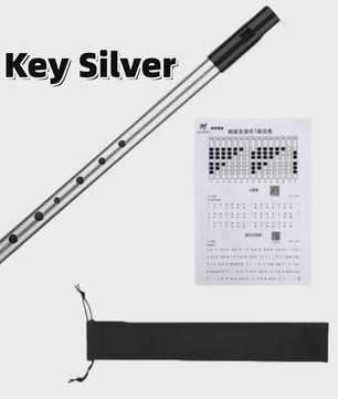Miwayer Ierse Tin Whistle - 6 Gaten Fluit in C/D Toets - Folk Muziekinstrument voor Beginners