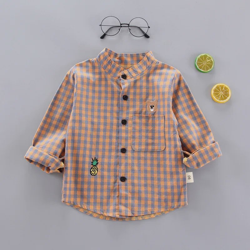 Lange Mouwen Jongens Shirt in Plaid Katoen - Perfect voor de Lente (1-4 Jaar)