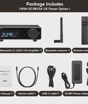 AIYIMA A80 Krachtige Stereo Power Versterker met DAC & Bluetooth (2x300W, Class D)
