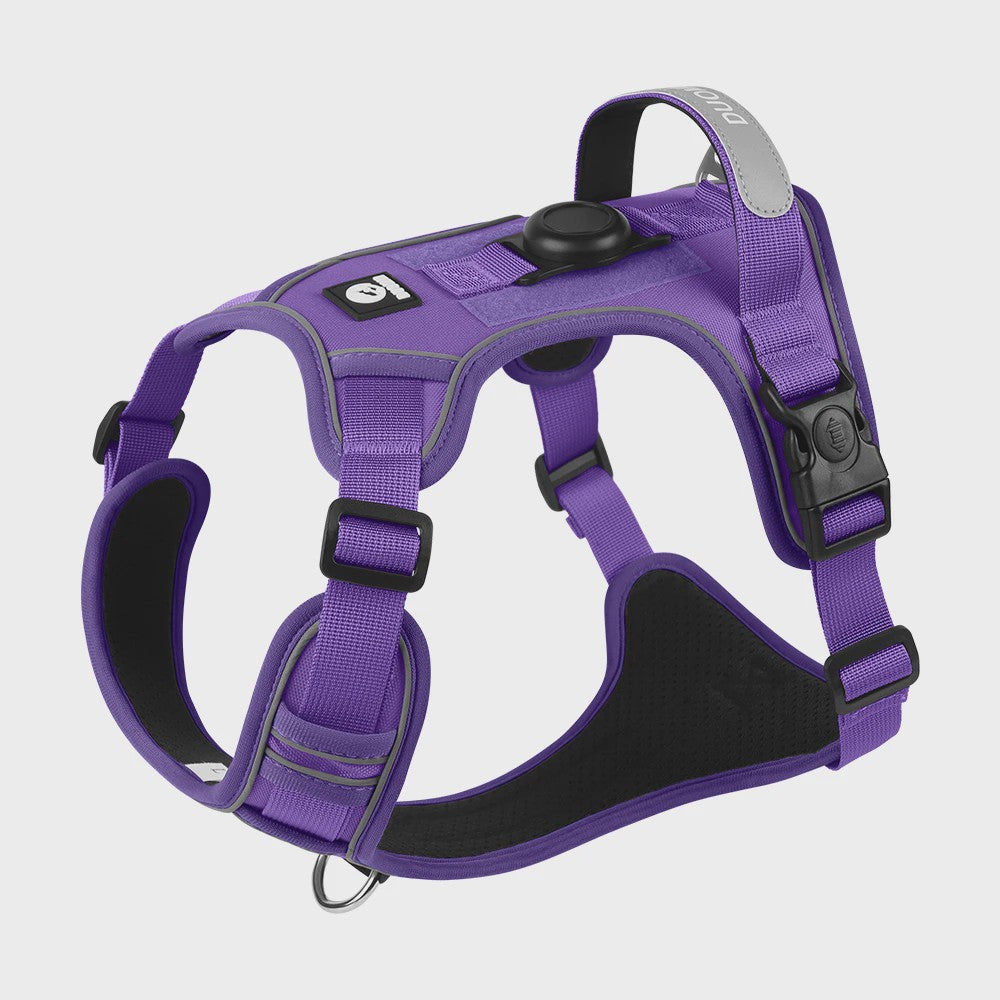 Honden Tuigje met AirTag Houder - Anti-Trek, Reflecterend & Waterdicht Vest voor Kleine/Middelgrote Honden